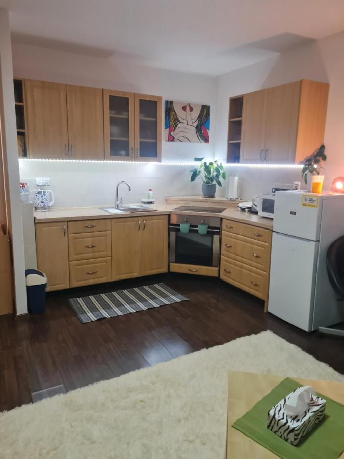 Appartement Apartman Sofie1 à Litoměřice Extérieur photo